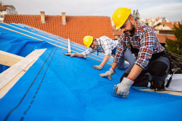 Best Emergency Roof Repair  in Pandora, OH